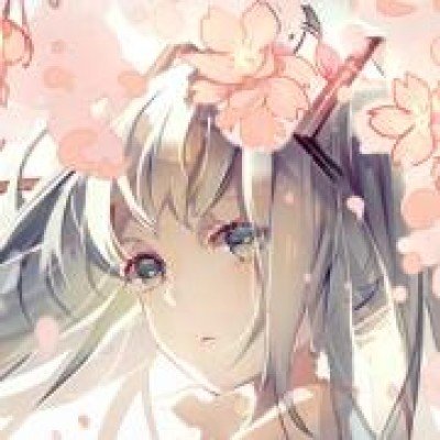 葛仙村NPC小黄鱼致歉